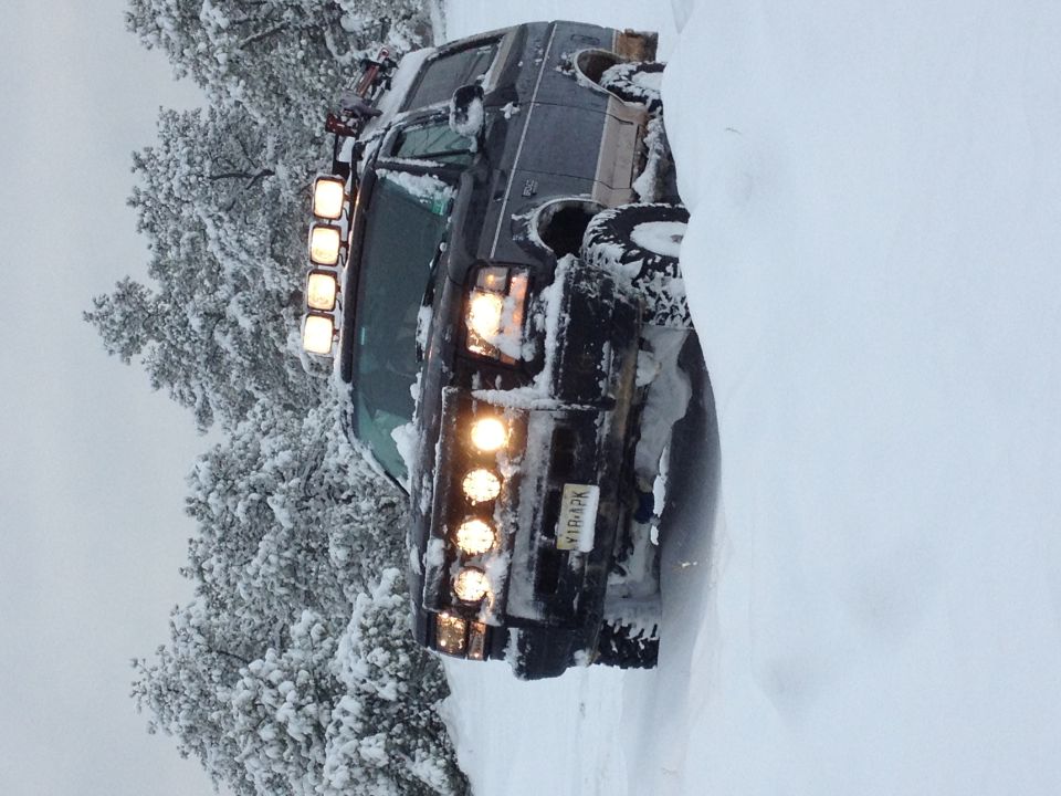 Dark SUV with four off-road lights on the roof rack, stuck in the snow next to snow-covered trees. License plate reads YIBAPK