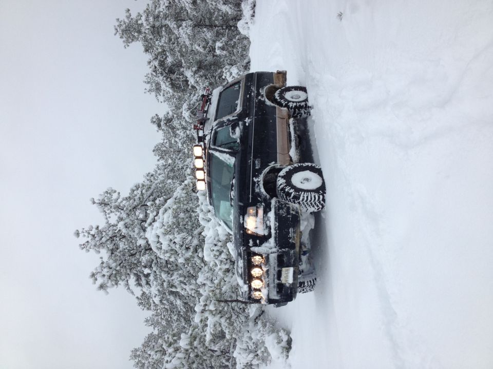 Black SUV with roof lights driving on a snowy road with trees covered in snow