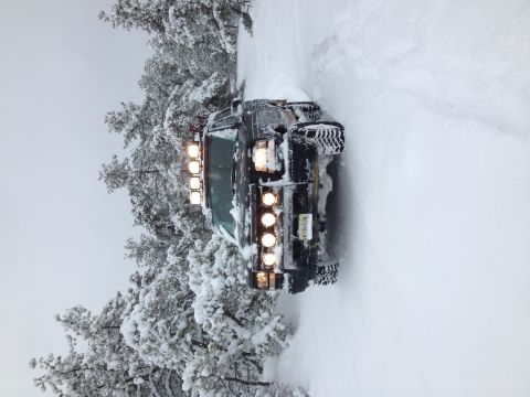 1996 Ford Bronco photo