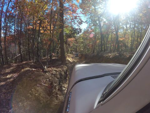 1979 Ford Bronco - A vehicle navigates a narrow dirt path surrounded by trees with fall foliage.