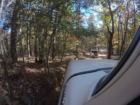 1979 Ford Bronco - Two SUVs navigate a wooded trail during autumn.