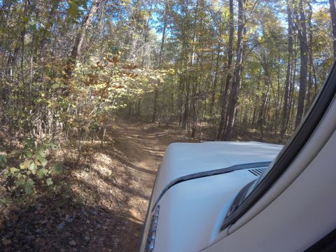 1979 Ford Bronco - A white SUV navigates a wooded trail, kicking up dust on the path ahead.