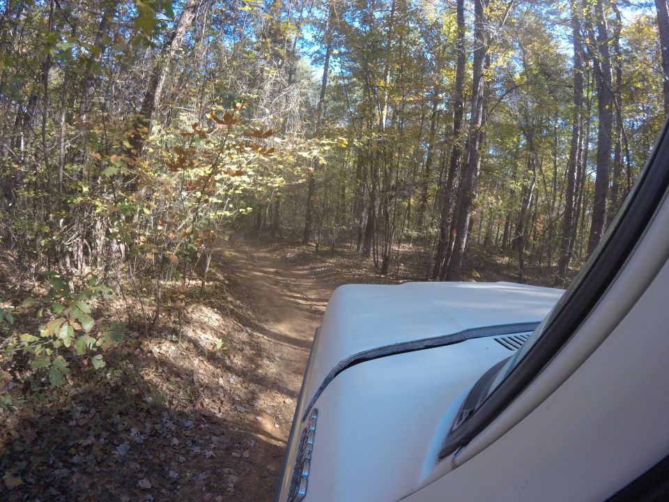 White SUV driving on a dirt road in a forest, showing the hood and windshield frame