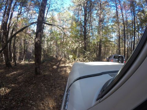 1979 Ford Bronco - Two SUVs navigate a wooded trail on a sunny day.