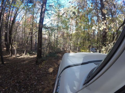 1979 Ford Bronco - Driving a white SUV through a wooded area on a sunny day.