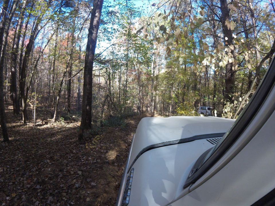 White SUV driving on a forest road, another SUV visible in the distance