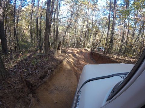 1979 Ford Bronco - Driving a white SUV on a muddy, rutted trail in a dense forest with autumn foliage.