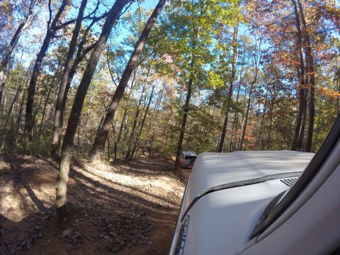 1979 Ford Bronco - Two SUVs navigate a wooded trail during autumn, with one vehicle's roof in the foreground.