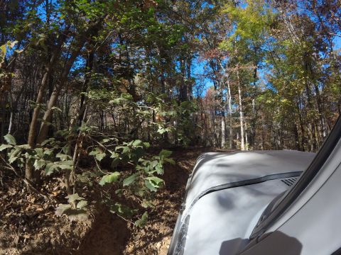 1979 Ford Bronco - A vehicle navigates a wooded trail with autumn foliage.