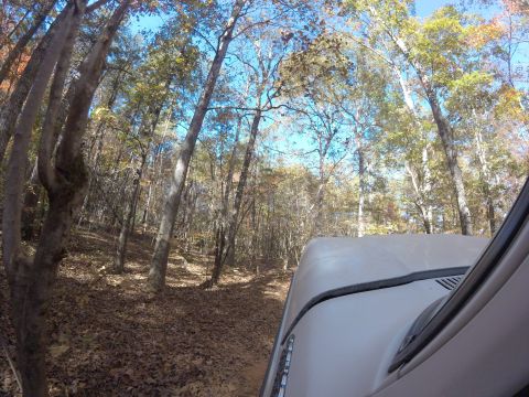 1979 Ford Bronco - A light-colored SUV navigates a wooded trail during autumn, with the camera focused on the vehicle's hood and the surrounding trees.