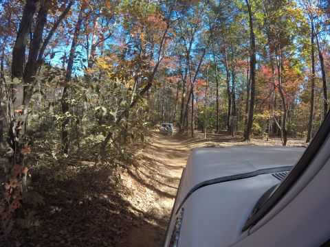 1979 Ford Bronco - Two SUVs navigate a wooded trail during the fall season.