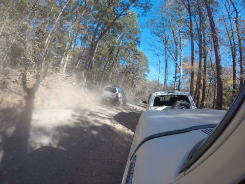1979 Ford Bronco - Dust kicks up as multiple vehicles navigate a dirt road through a wooded area.