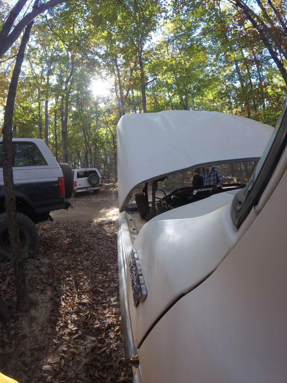 Two Ford Broncos parked in woods, one with hood up