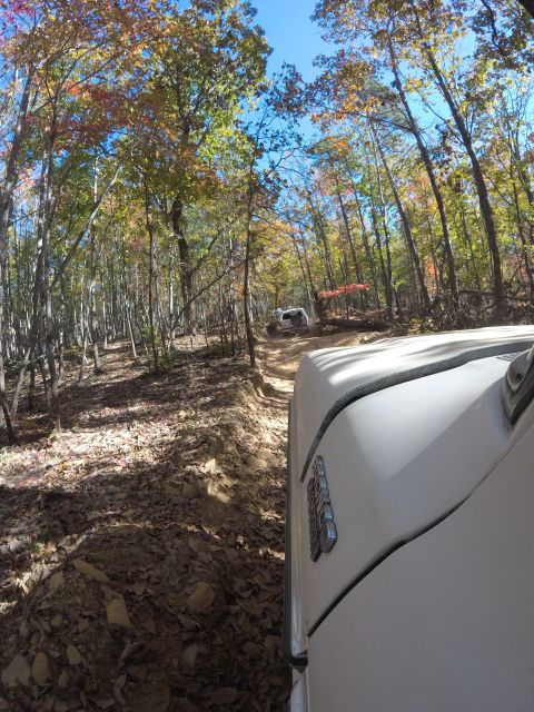 1979 Ford Bronco - Two SUVs navigate a wooded trail during autumn, with fallen leaves on the ground.