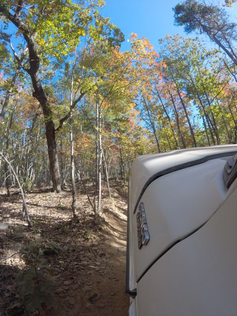 1979 Ford Bronco - Driving through the woods on a sunny autumn day.