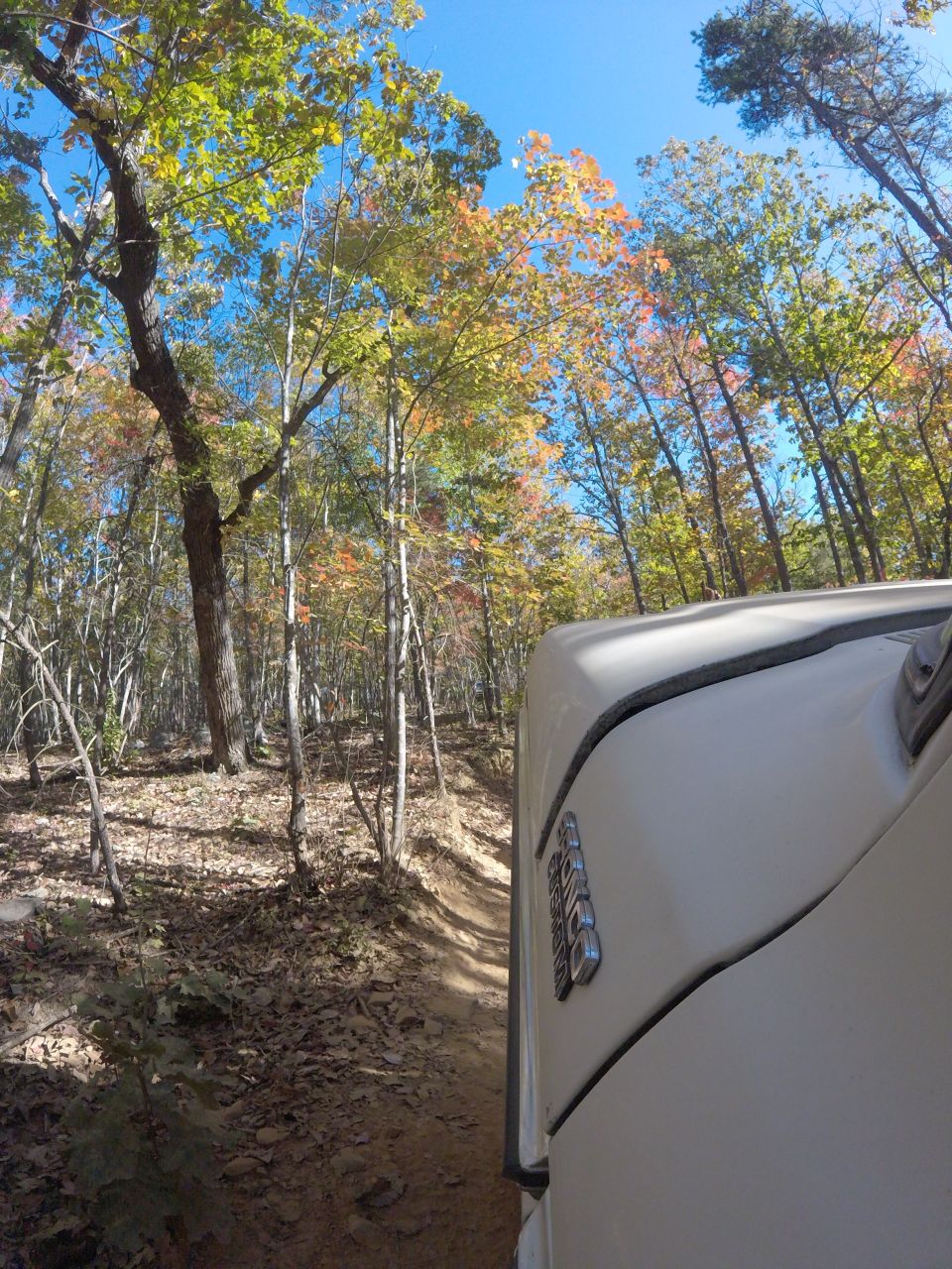White SUV driving on a dirt path through woods with fall foliage
