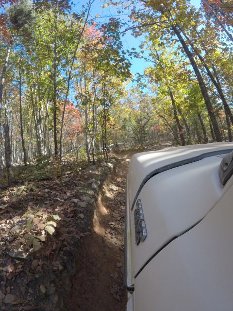 1979 Ford Bronco - A white 1978 Ford Bronco navigates a rocky, wooded trail during autumn.