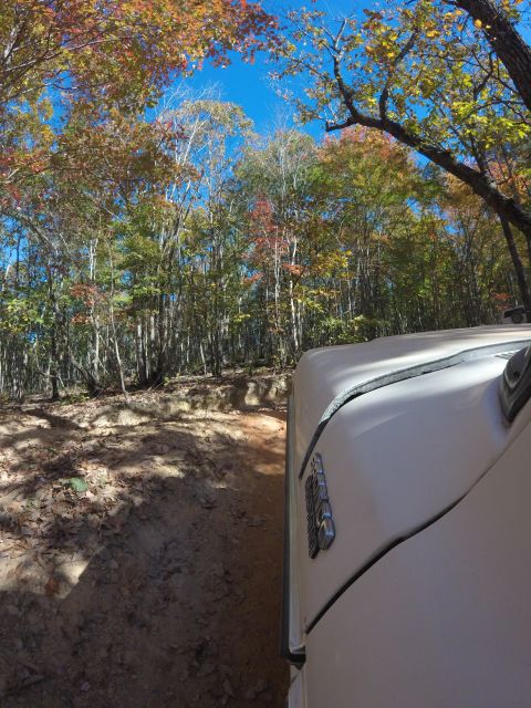 1979 Ford Bronco - Driving a 1979 Ford Bronco through a forest during autumn.