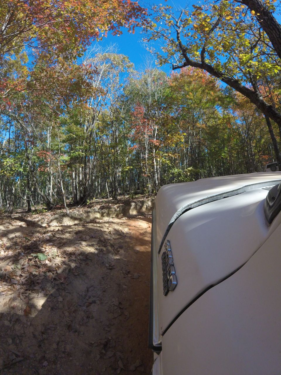 1979 Ford Bronco driving on a dirt trail with fall foliage