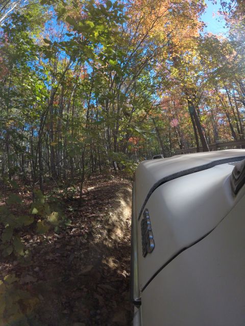 1979 Ford Bronco - Driving through autumn woods on a narrow dirt road.