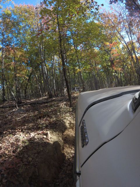 1979 Ford Bronco - A white SUV navigates a wooded trail during the fall season.