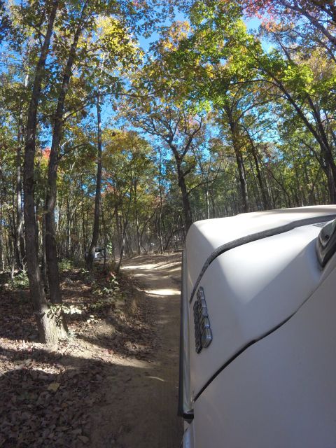 1979 Ford Bronco - A white 1979 Ford Bronco navigates a dirt path through a wooded area during autumn.