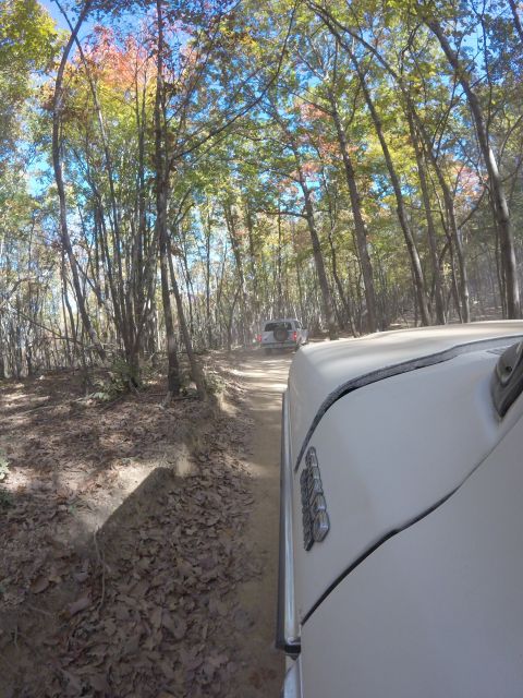1979 Ford Bronco - Driving two SUVs on a dusty forest road during autumn.