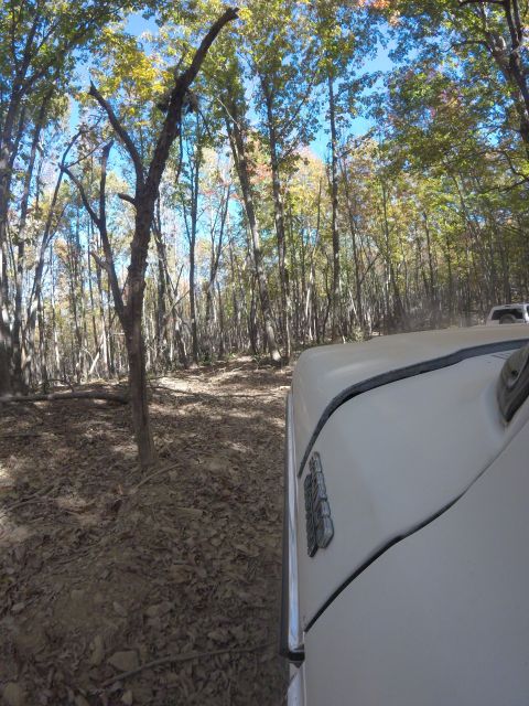 1979 Ford Bronco - Driving through a wooded area on a sunny autumn day.