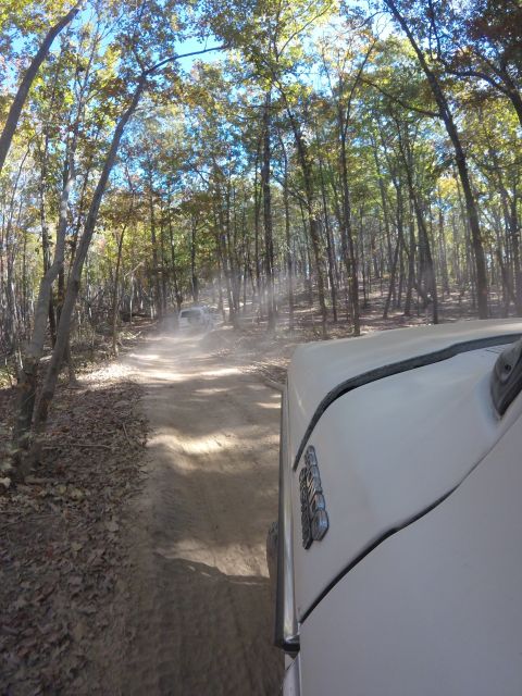 1979 Ford Bronco - Two white SUVs navigate a dirt path through a dense forest on a sunny day.
