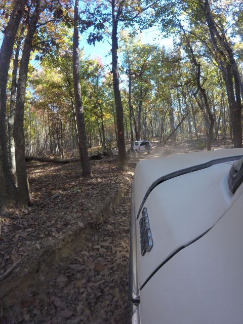 1979 Ford Bronco - A white 1979 Ford Bronco navigates a wooded trail, kicking up dust.