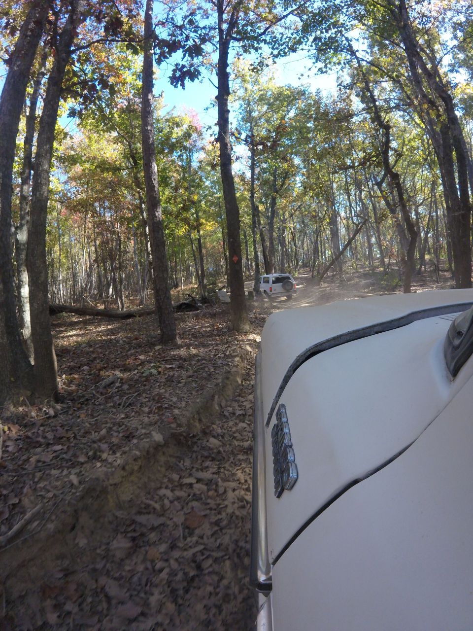 White 1979 Ford Bronco driving on forest trail