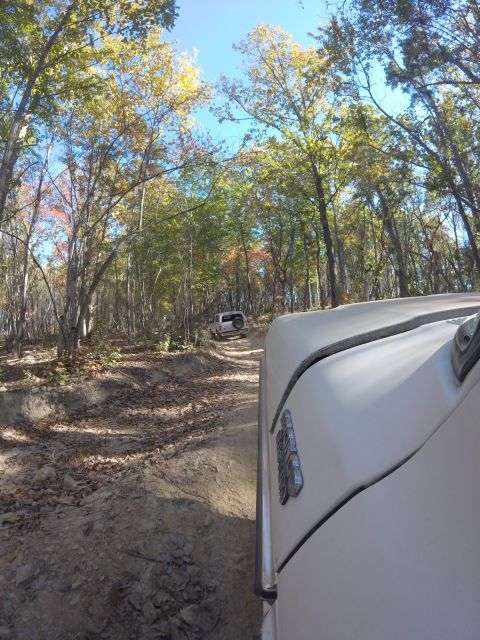 1979 Ford Bronco - Two SUVs navigate a wooded trail during autumn, with one vehicle in the foreground and another further up the path.