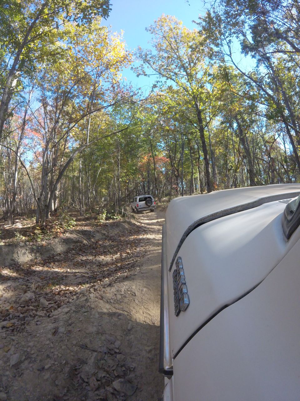 Two SUVs driving on a dirt path through a forest with fall foliage