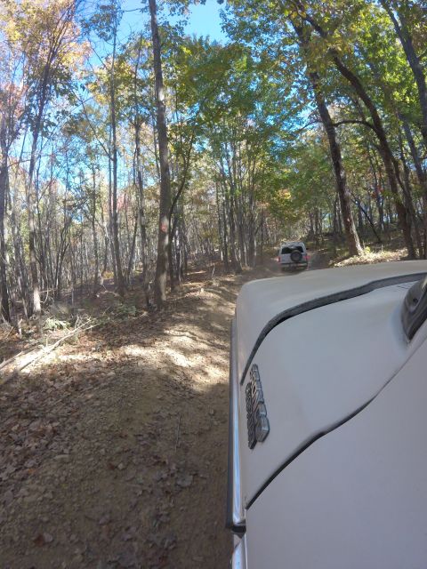 1979 Ford Bronco - Two SUVs navigate a dusty forest road during autumn.