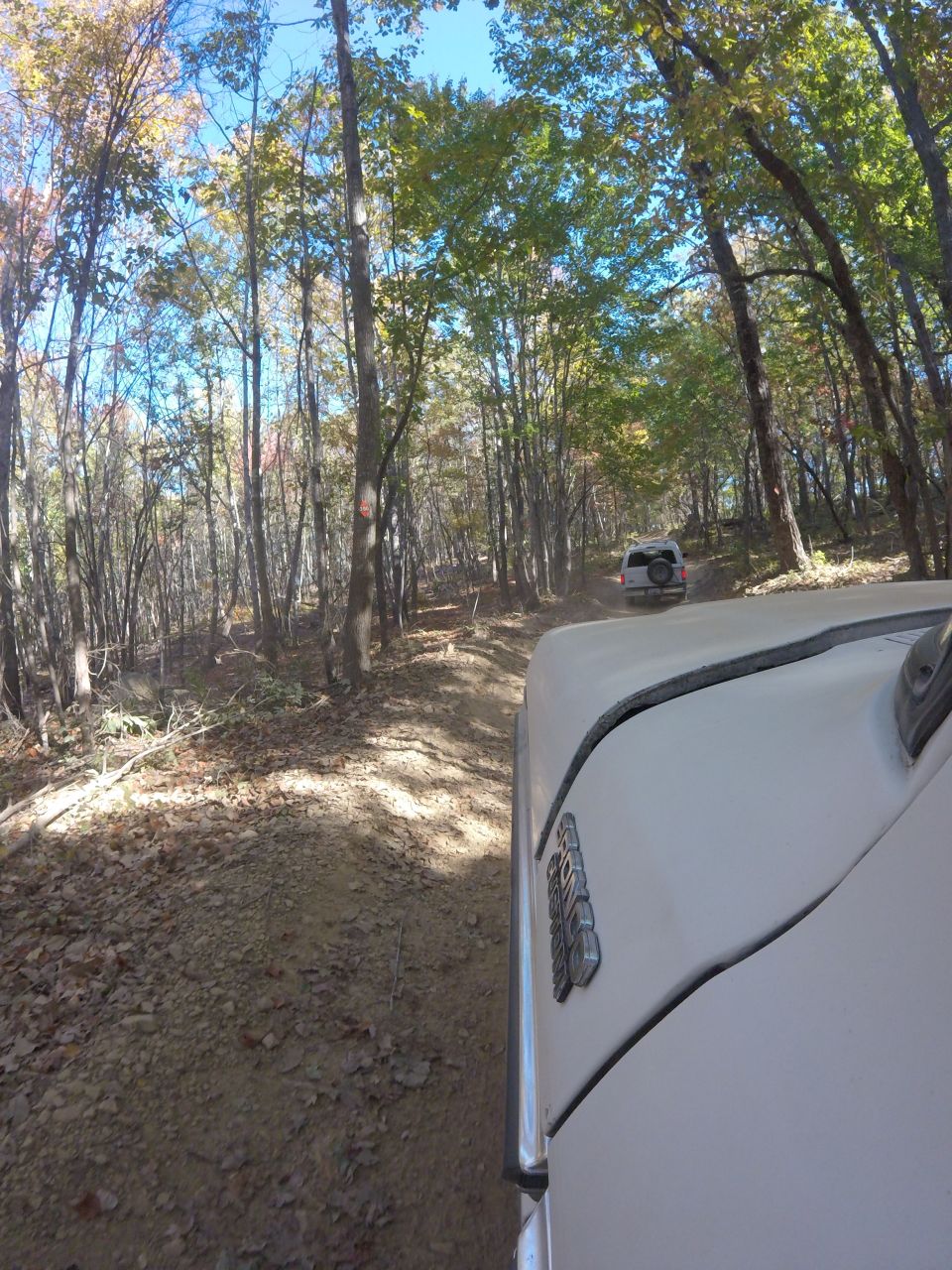 White SUV driving on a dirt road in a forest, with another vehicle ahead