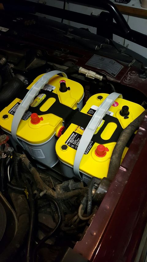1996 Ford Bronco - Two yellow Optima batteries are installed in the engine bay of a vehicle, secured by white straps. The batteries are positioned side-by-sid…