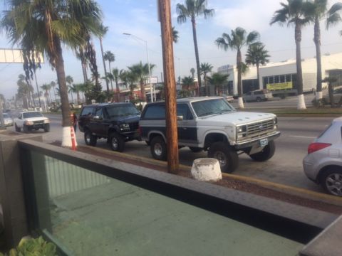 1986 Ford Bronco - Two lifted Ford Bronco SUVs are parked on the side of a street lined with palm trees. The Bronco on the right is white with a dark stripe,…