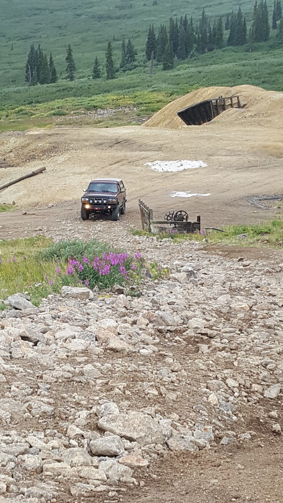1996 Ford Bronco on a rocky mountain road with purple wildflowers.
