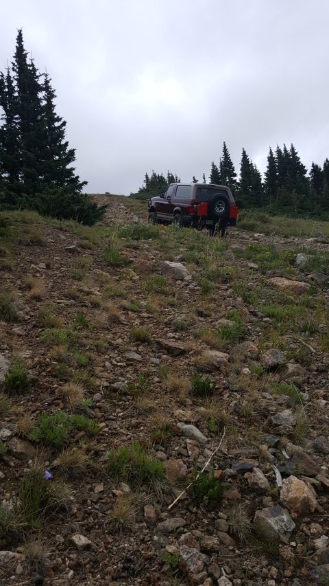 1996 Ford Bronco - A maroon 1996 Ford Bronco is parked on a rocky, grassy hillside with pine trees in the background under a cloudy sky. The vehicle has a spa…