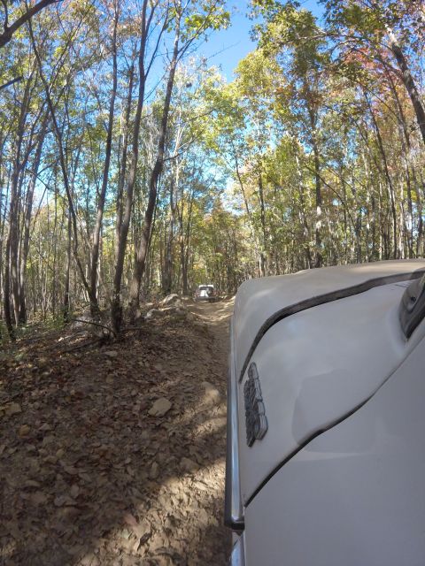 1979 Ford Bronco - A white SUV drives down a dirt road through a forest with autumn foliage. The perspective is from the passenger side of another vehicle, sh…
