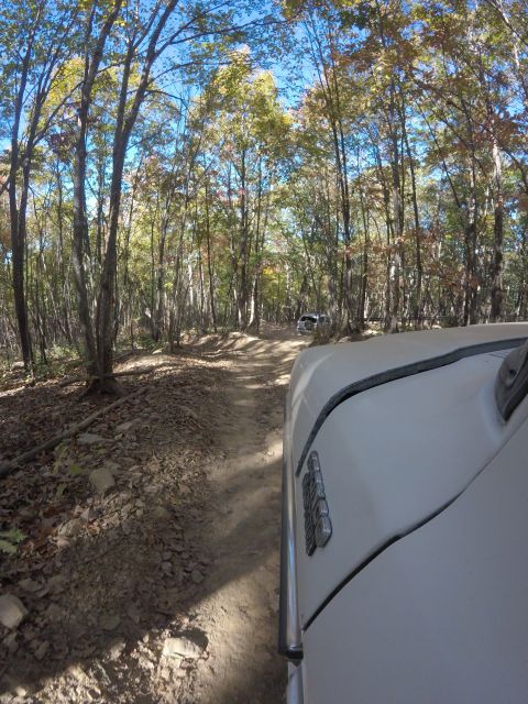 1979 Ford Bronco - A white vehicle, possibly a 1979 Ford Bronco, is driving on a dirt road through a forest during autumn. The camera is mounted on the side o…
