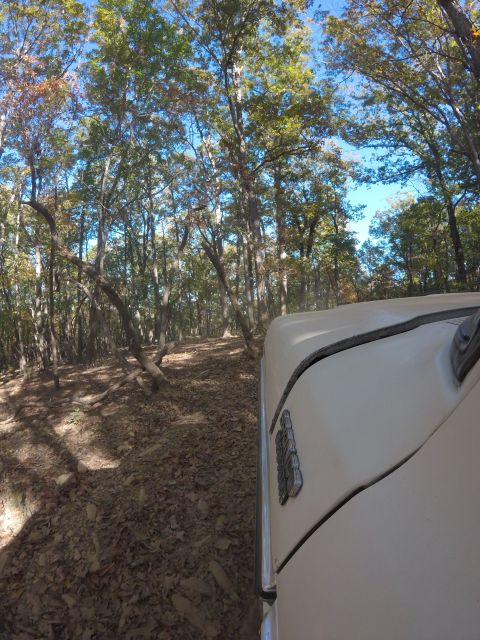1979 Ford Bronco - The right side of a cream-colored vehicle is visible as it drives down a leaf-covered dirt road through a forest.
