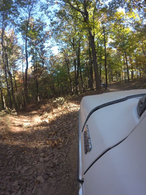 1979 Ford Bronco - The right side of a white 1979 Ford Bronco is visible, driving down a dirt road covered in fallen leaves. The vehicle is surrounded by tree…