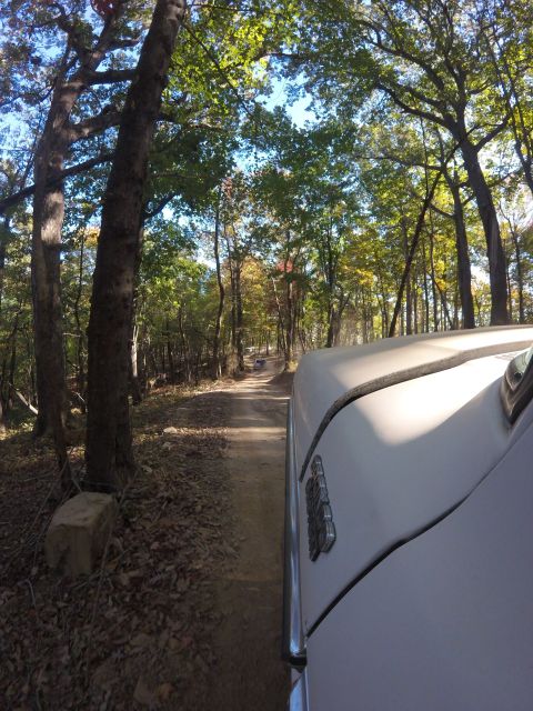 1979 Ford Bronco - A white vehicle drives down a dirt road surrounded by trees with autumn foliage. The side of the vehicle and part of the hood are visible.