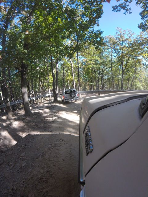 1979 Ford Bronco - A tan 1979 Ford Bronco is shown from a low angle, driving on a dirt road through a forest. Another silver SUV is visible ahead on the road.