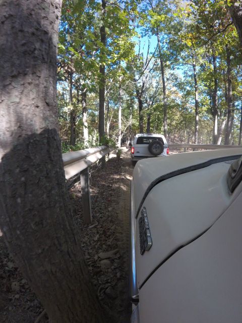1979 Ford Bronco - A white Ford Bronco with a spare tire mounted on the back is driving on a dirt road through a forest. The photo is taken from the perspecti…