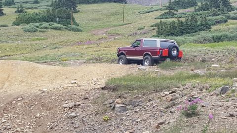 1996 Ford Bronco - A maroon and tan 1996 Ford Bronco is parked on a dirt road in a mountainous, grassy area with scattered trees and wildflowers. The rear of…