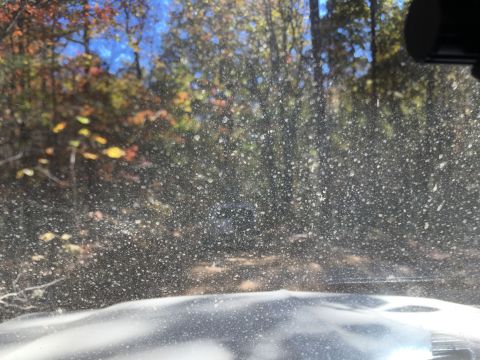 1979 Ford Bronco - View through a dirty windshield of a vehicle on a wooded trail during autumn. The sun shines through the trees, illuminating dust and debri…