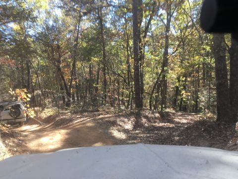 1979 Ford Bronco - A white SUV, possibly a 1979 Ford Bronco, is driving on a dirt road through a forest with autumn foliage. The vehicle is viewed from the fr…