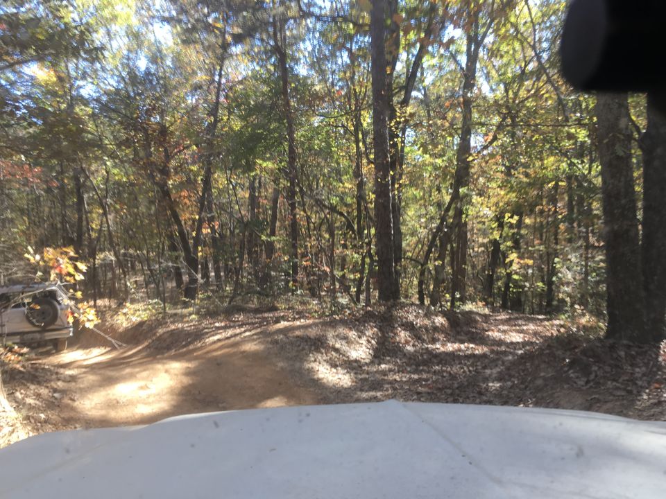White SUV driving on a dirt road in a forest during autumn.